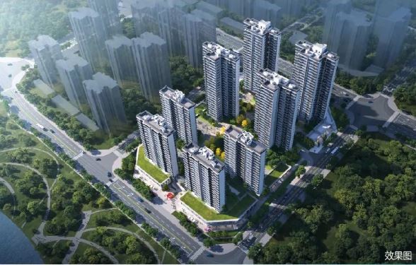 江天雲著九州的图标