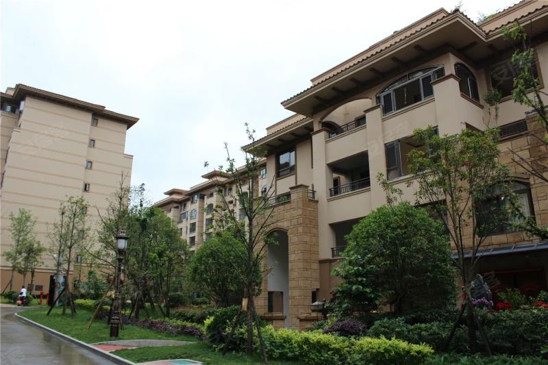 拓海中央公园的图标