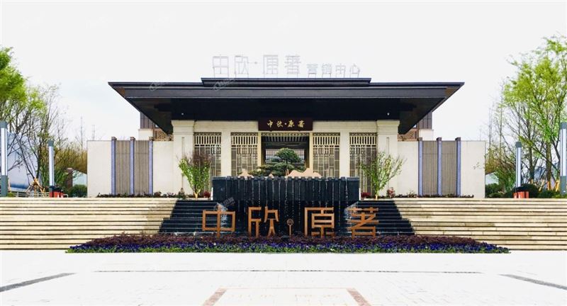 中欣原著的图标